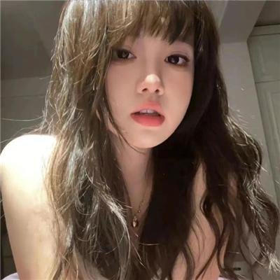 狮路历程